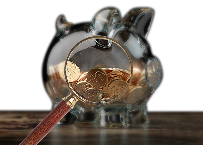 Piggy Coin Bank 40155, Other